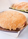 Two cheeseburgers in boxes Royalty Free Stock Photo