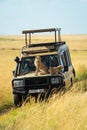 Two cheetah cubs lying and sitting on truck Royalty Free Stock Photo