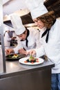 Two chefs garnishing meal on counter Royalty Free Stock Photo