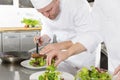 Two chefs prepares steak dish at gourmet restaurant Royalty Free Stock Photo