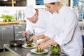 Two chefs prepares steak dish at gourmet restaurant Royalty Free Stock Photo