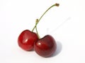 Two cherries Royalty Free Stock Photo