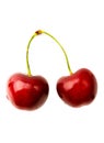 Two Cherries Royalty Free Stock Photo