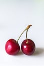 Two cherries as a metaphor for love and relationships Royalty Free Stock Photo