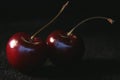 Two cherries on black background Royalty Free Stock Photo