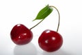Two cherries on a branch. Royalty Free Stock Photo