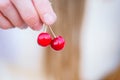 Two cherries in female hands. Summer time. Royalty Free Stock Photo