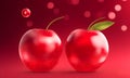 two cherries form the heart. cherry ready and sweet. Berries of a sweet cherry isolated on love background close-up. Mini apples Royalty Free Stock Photo