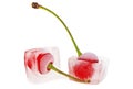 Two cherries frozen in ice cubes on white background Royalty Free Stock Photo