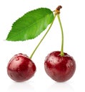 Two cherries and green leaf with clipping path, isolated. Royalty Free Stock Photo