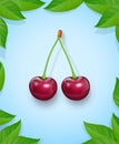 Two Cherries with green leaf. Fresh, juicy, ripe fruit.