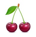 Two Cherries with green leaf. Fresh, juicy, ripe fruit. Royalty Free Stock Photo