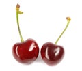Two cherries isolated on white background Royalty Free Stock Photo