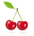 Two cherries with leaf isolated on white background. Clipping path Royalty Free Stock Photo