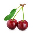 Two cherries with leaf isolated on white background Royalty Free Stock Photo