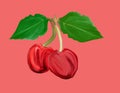 Two cherries with leaves painted gouache on pink background, realistic watercolor illustration: two whole sweet sour ripe juicy Royalty Free Stock Photo