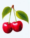 Two cherries leaves them listing lossless quality one cherry dam