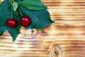 Two cherries lie on green leaves on a green background