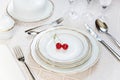 Two cherries lie on a white porcelain plate Royalty Free Stock Photo