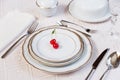 Two cherries lie on a white porcelain plate Royalty Free Stock Photo