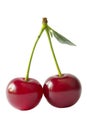 Two Cherries (path isolated) Royalty Free Stock Photo