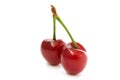 Two cherries side view Royalty Free Stock Photo
