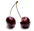 Two cherries - a sweet kiss Royalty Free Stock Photo