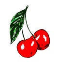 Two cherries on a twig with leaves on a white background