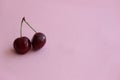 two cherries on a twig on a light background
