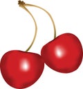 Two cherries' vector Royalty Free Stock Photo