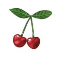 Two cherries. Watercolor illustration. Isolated on a white background. For design. Royalty Free Stock Photo