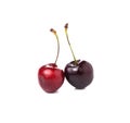 Two cherries isolated on white background Royalty Free Stock Photo