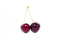 Two cherries on a white background. Seasonal fruit. Two ripe sweet cherries Royalty Free Stock Photo