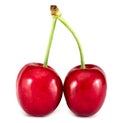 Two cherries on a white background. Seasonal fruit Royalty Free Stock Photo