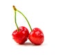 Two cherries on white isolated background. Royalty Free Stock Photo