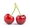 Two Cherries white Royalty Free Stock Photo