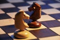 Two chess horse Royalty Free Stock Photo