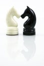 Two chess horse with reflection