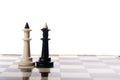 Two chess kings Royalty Free Stock Photo