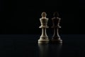 Two chess kings on black background Royalty Free Stock Photo