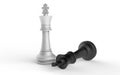 two chess kings Royalty Free Stock Photo