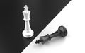 Two chess kings Royalty Free Stock Photo