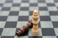 Two Chess Kings with one stands up one lays down Royalty Free Stock Photo