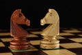 Two chess Knights Royalty Free Stock Photo