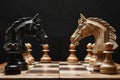 Two chess knights face each other in a tense moment on the chessboard Royalty Free Stock Photo
