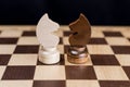 Two chess knights are facing each other on the chessboard