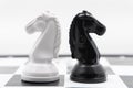 Two chess knights turned back to each other. There is a white background for placing posts Royalty Free Stock Photo