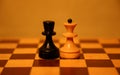 Extremely beautiful and interesting chess scenes Royalty Free Stock Photo