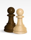 Two chess pawns