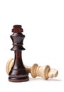 Two Chess Pieces, One Dark And One Light